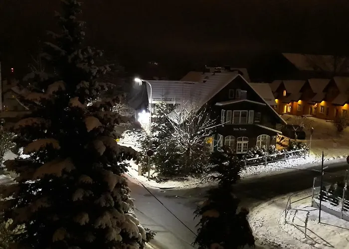 홈스테이 Daria Goscinne